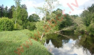  Landscape plot by the river